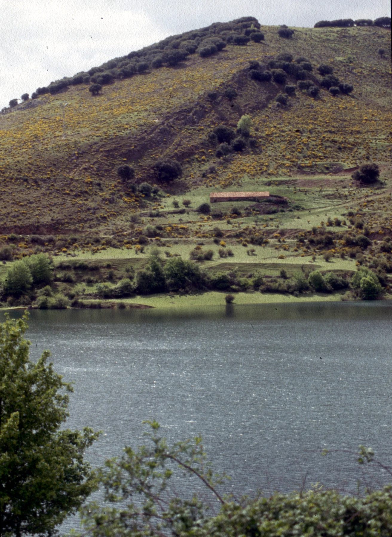 Embalse de Mansilla de la Sierra