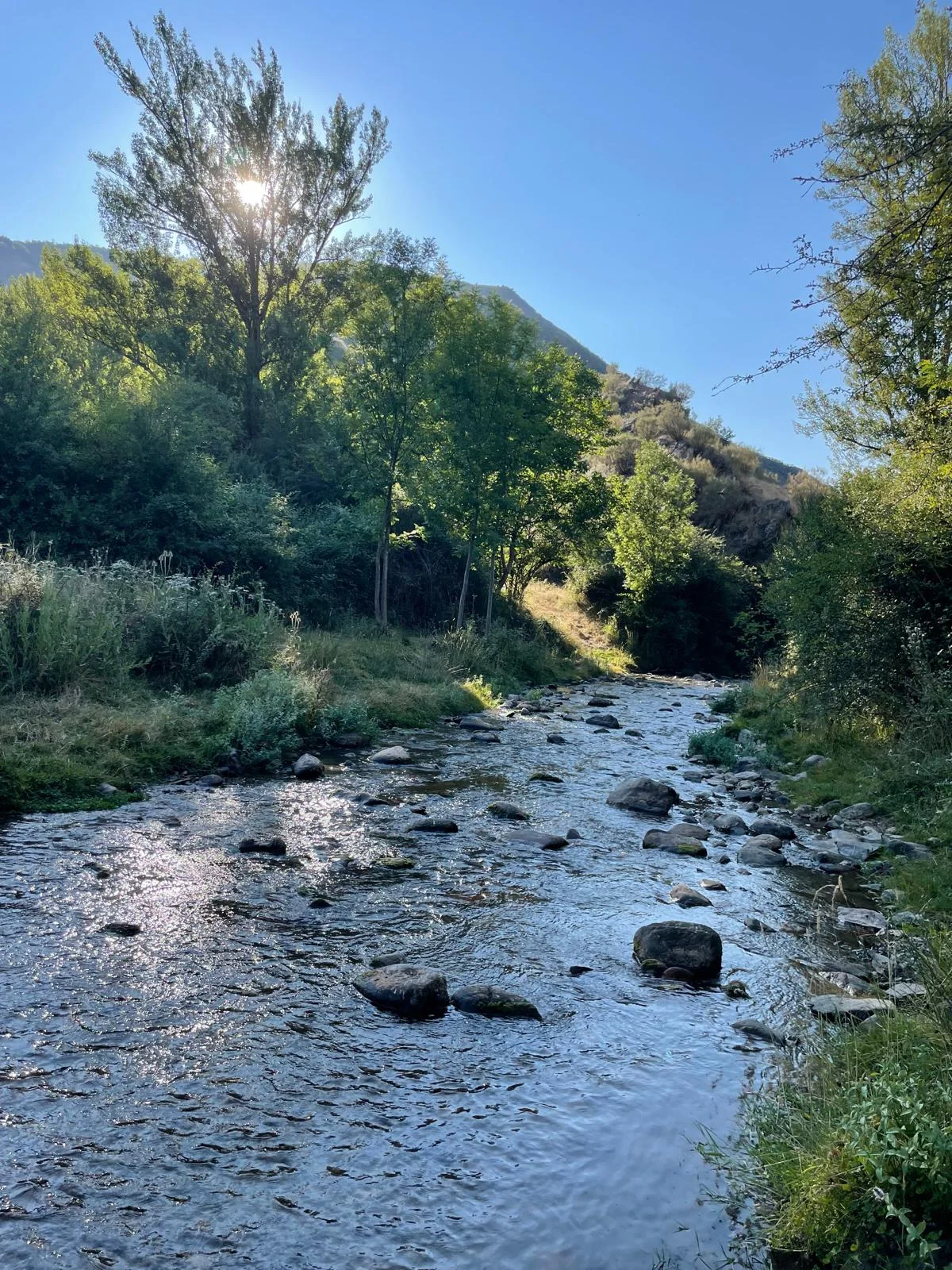 Río Najerilla entre montañas